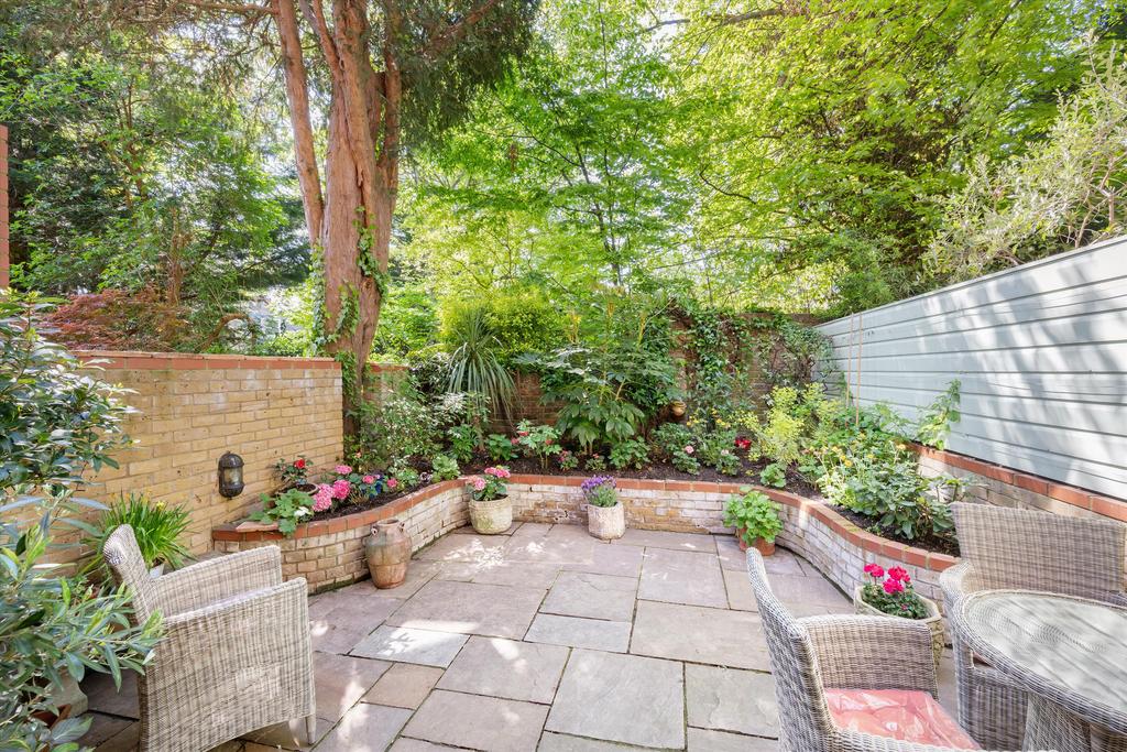 Patio view, garden