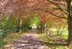 Additional image 6 of Blackbrooks, Sedlescombe, Battle, TN33