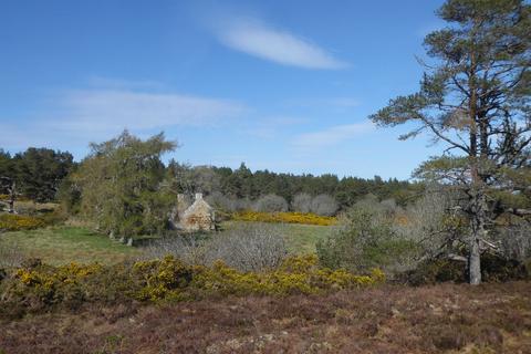 Woodland for sale, Tain, Ross & Cromarty, Highland IV19