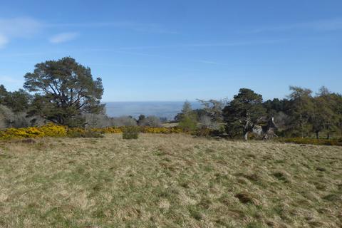 Woodland for sale, Tain, Ross & Cromarty, Highland IV19