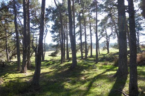 Woodland for sale, Tain, Ross & Cromarty, Highland IV19