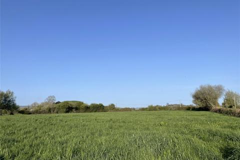 Land for sale, Off Panborough Drove, Panborough, Wells, Somerset, BA5