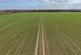 Great Bardfield, Braintree CM7 photo 3