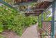 Additional image 32 of Avenue Road, Witham, Essex, CM8