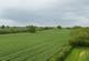 Additional image 9 of Kyre, Tenbury Wells, Worcestershire