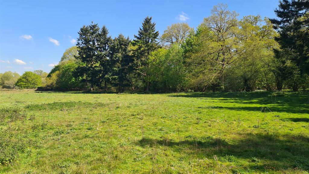 Bramley, Guildford - View 2
