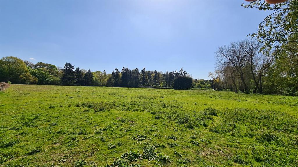 Bramley, Guildford - View 3