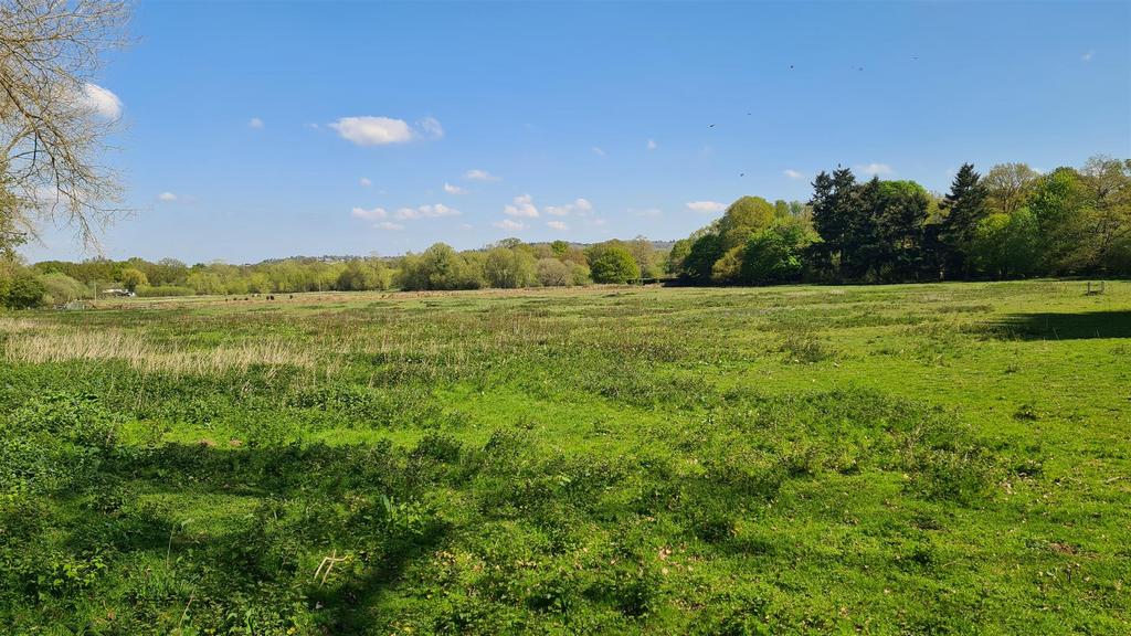 Bramley, Guildford - View 5