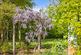 Additional image 10 of Headley Hill Road, Arford, Headley, Hampshire GU35
