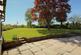 Broadclyst, Exeter photo 4
