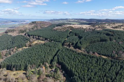 Woodland for sale, Ayton  Hill Forest, Near Aberargie, Perthshire PH2