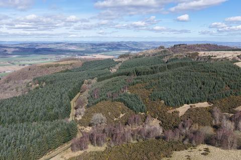 Woodland for sale, Ayton  Hill Forest, Near Aberargie, Perthshire PH2