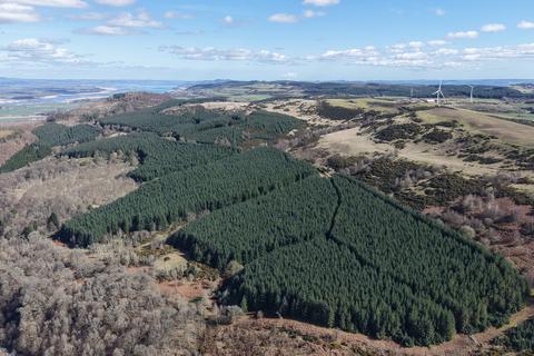 Woodland for sale, Ayton  Hill Forest, Near Aberargie, Perthshire PH2