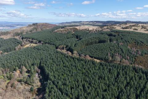Woodland for sale, Ayton  Hill Forest, Near Aberargie, Perthshire PH2