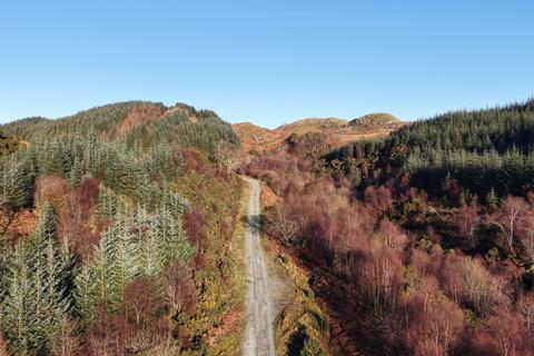 Woodland for sale, Glassary Forest, Near Lochgilphead PA31