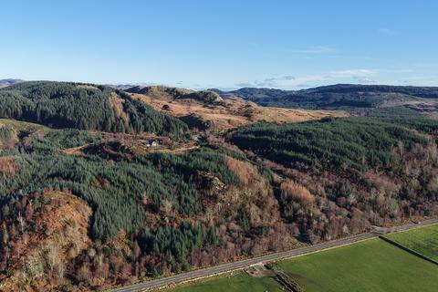Woodland for sale, Glassary Forest, Near Lochgilphead PA31