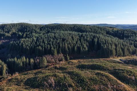 Woodland for sale, Glassary Forest, Near Lochgilphead PA31