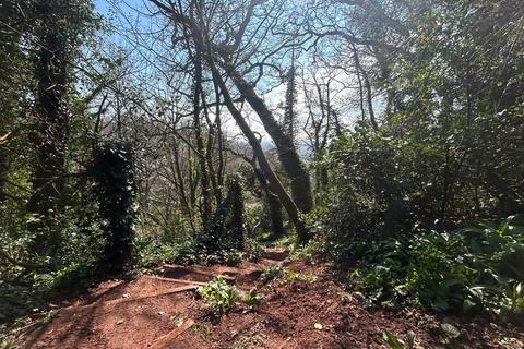 undefined, Torquay, Devon TQ2
