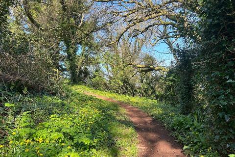 undefined, Torquay, Devon TQ2