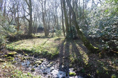 Woodland for sale, Meandering Copse, Stocksfield, Northumberland NE42
