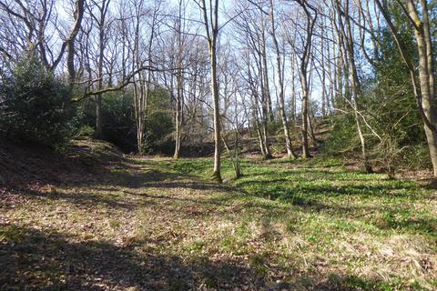 Woodland for sale, Meandering Copse, Stocksfield, Northumberland NE42