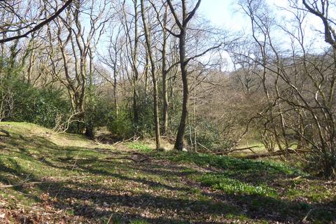 Woodland for sale, Meandering Copse, Stocksfield, Northumberland NE42