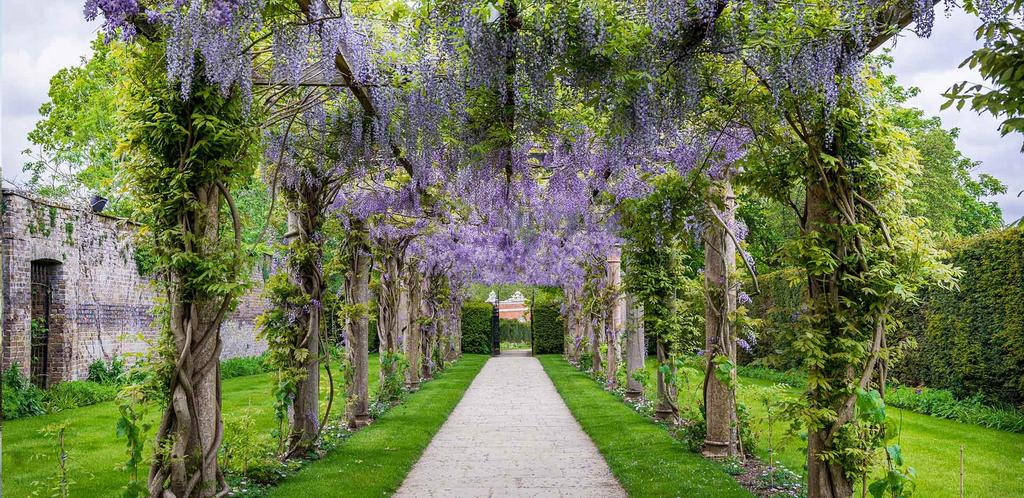 Garden view, garden