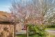 Additional image 26 of Ashgrove Court, Oakwood, Derby, DE21 2LH