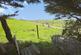 Additional image 27 of Sarn, Newtown