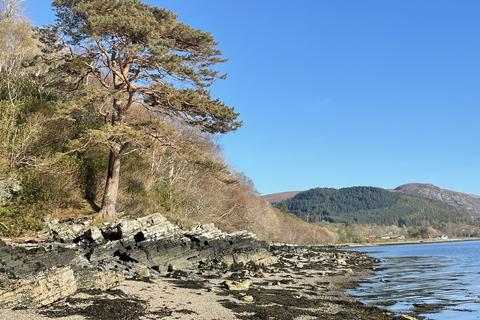 Woodland for sale, Ullapool, Ross and Cromarty, Highland IV23