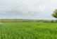 Additional image 6 of Kyre, Tenbury Wells, Worcestershire