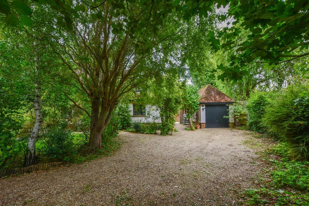 Driveway view, driveway