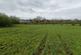 Additional image 17 of Grazing Land off, Pool House Road, Wombourne, Staffordshire, WV5 8AY