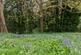 Additional image 14 of Goodwyns Place, Dorking