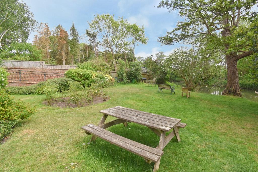 Garden view, garden