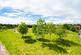 Bluebell Walk, Saxon Gate, Hereford