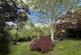 Additional image 41 of Elm Bank Road, Wylam, Northumberland, NE41