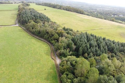 Woodland for sale, Hensol, Cardiff CF72 Coed Llwyn-iou  32.92 Acres (13.32 Ha) Hensol