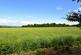 Additional image 53 of Abbots Road, Abbots Langley, WD5