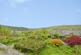 Additional image 2 of Top Cottages, Cressbrook, Buxton