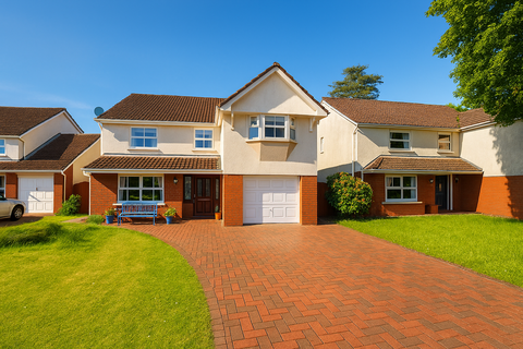 4 bedroom detached house to rent, Swansea SA4