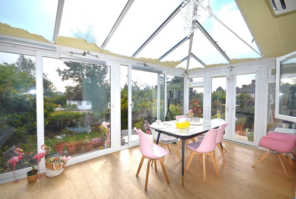 Conservatory interior, conservatory