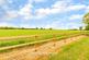 Additional image 31 of Willingale Road, Willingale, CM5