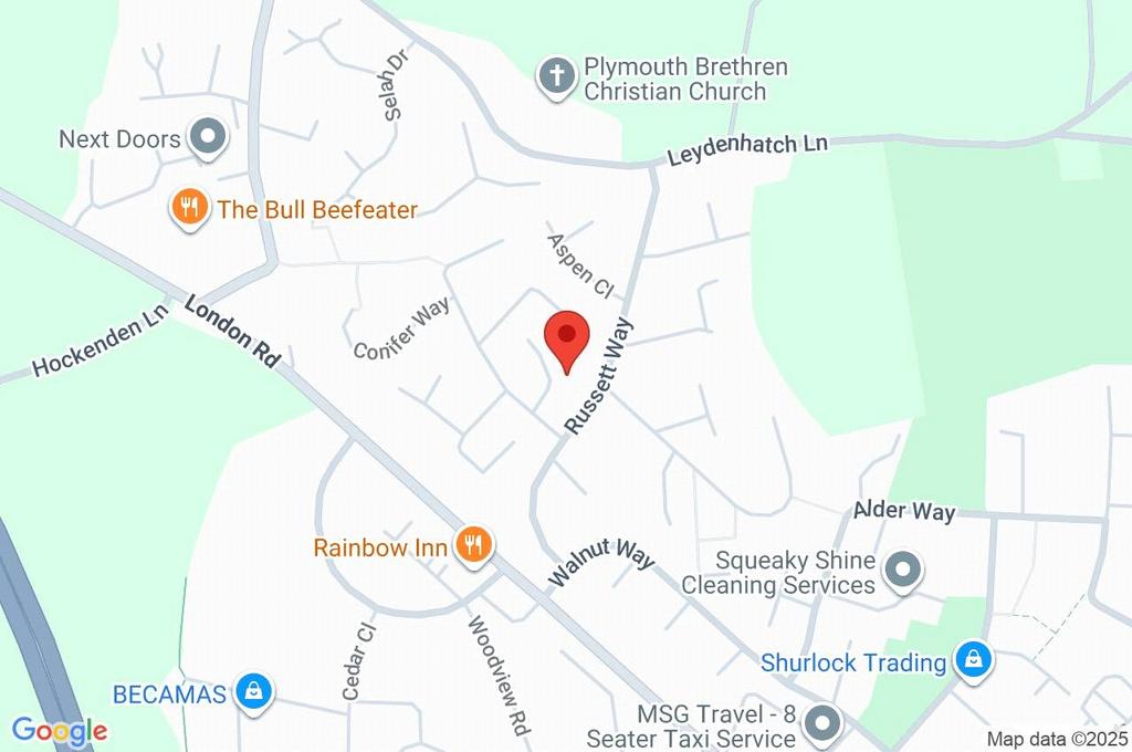 Google Maps Image
