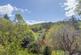 Additional image 16 of Bridge Of Cally, Blairgowrie