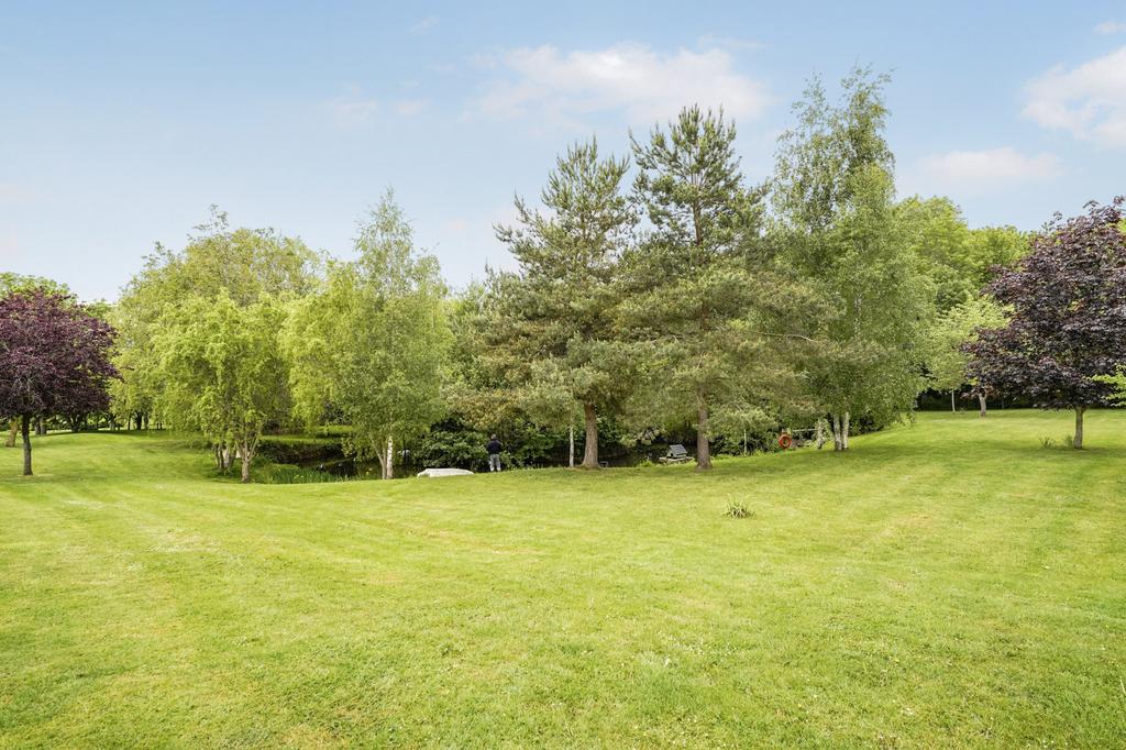 Garden view, garden
