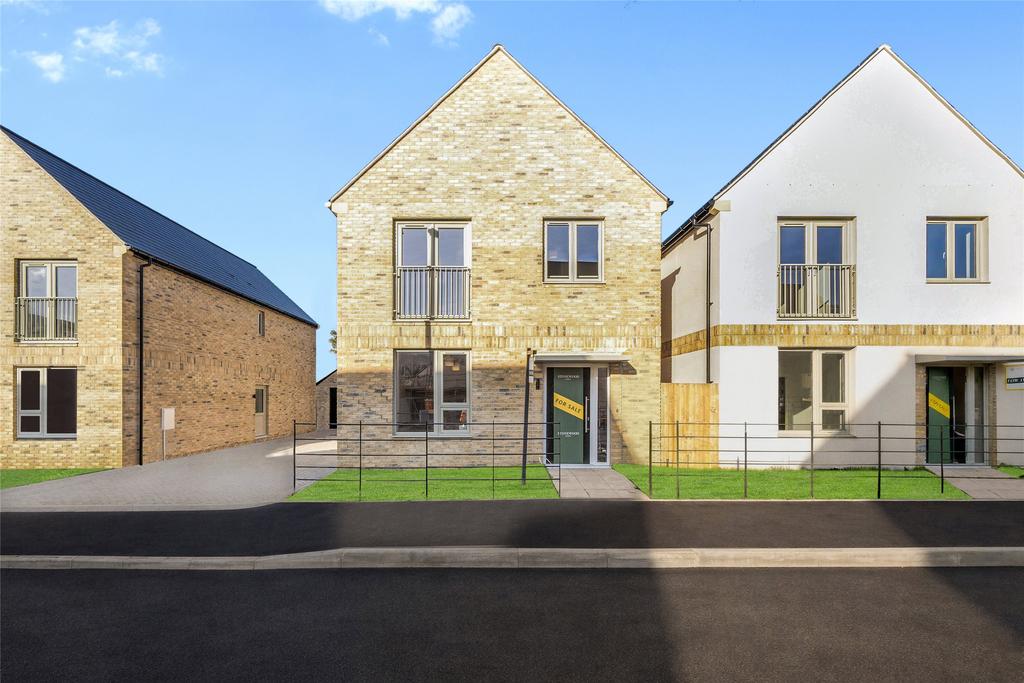 Plot 6