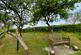 Additional image 19 of Llangybi, Lampeter, SA48