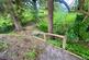 Additional image 20 of Llangybi, Lampeter, SA48