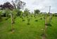 Additional image 33 of Llandissilio, Clynderwen, SA66